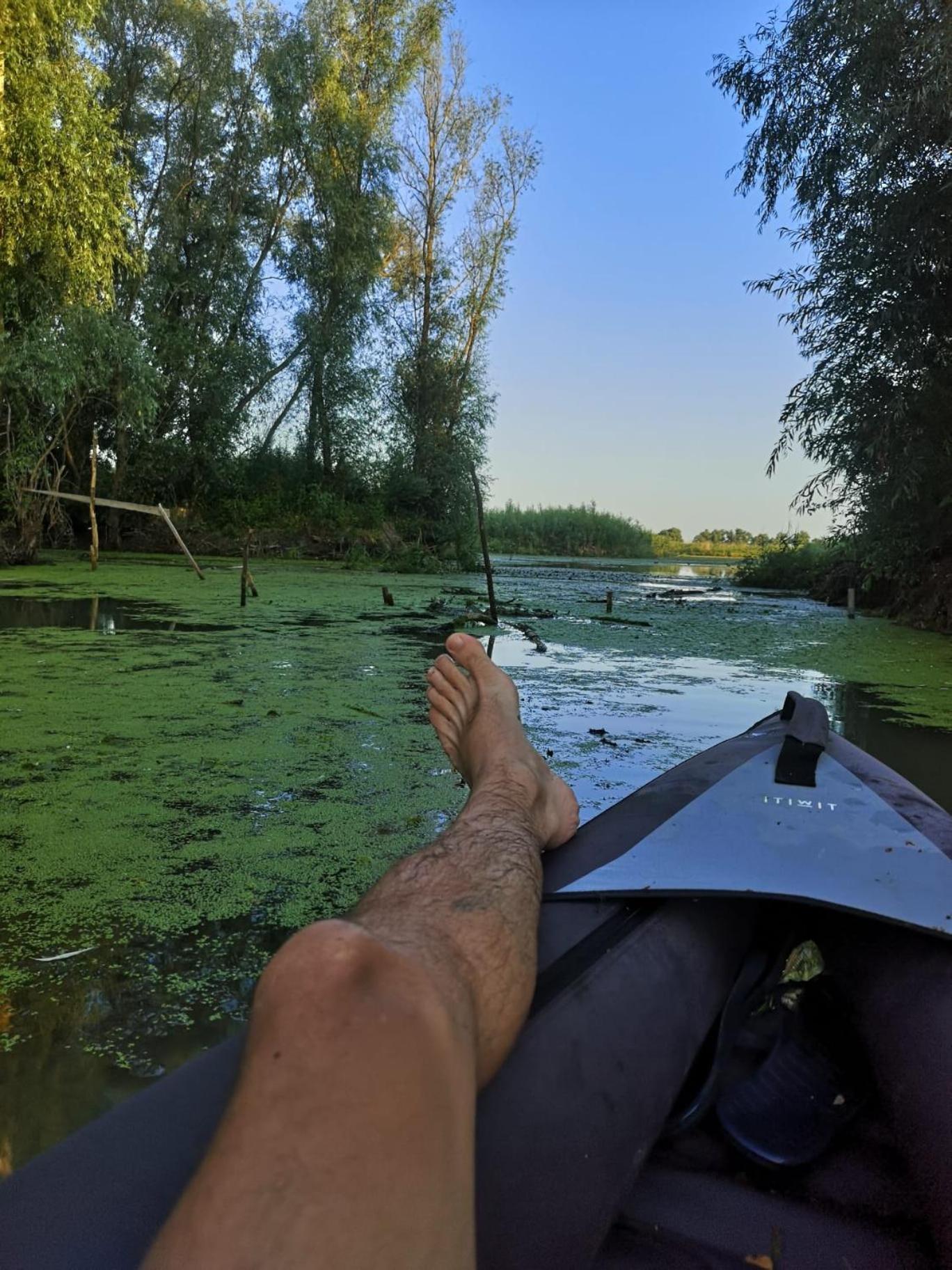 Casa David Otel Dunavăţu de Sus Dış mekan fotoğraf