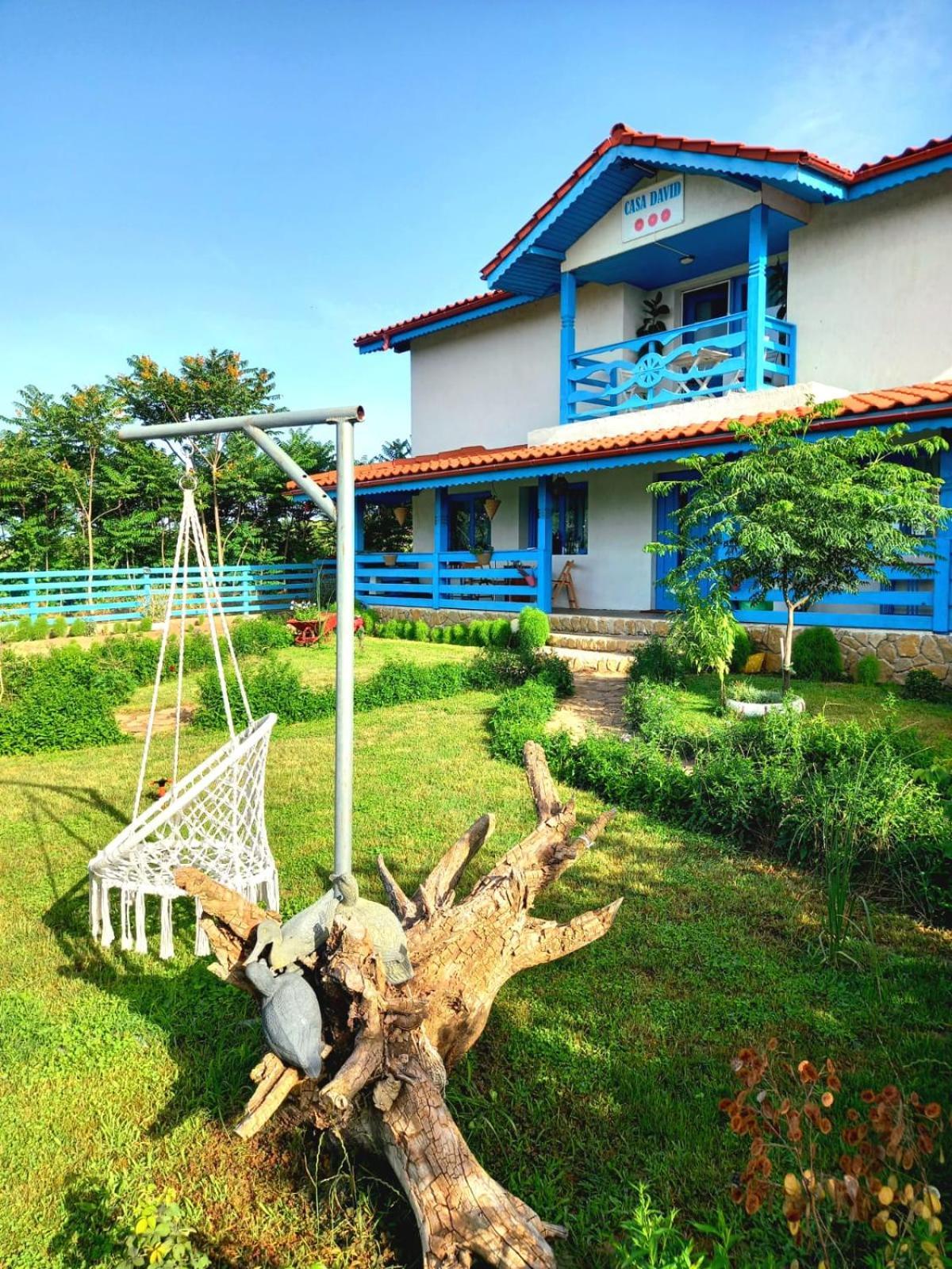 Casa David Otel Dunavăţu de Sus Dış mekan fotoğraf