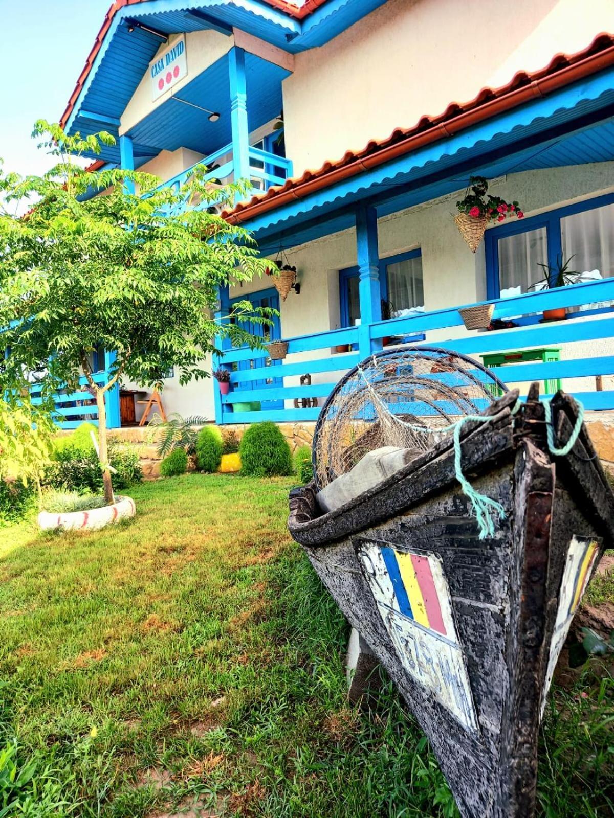 Casa David Otel Dunavăţu de Sus Dış mekan fotoğraf
