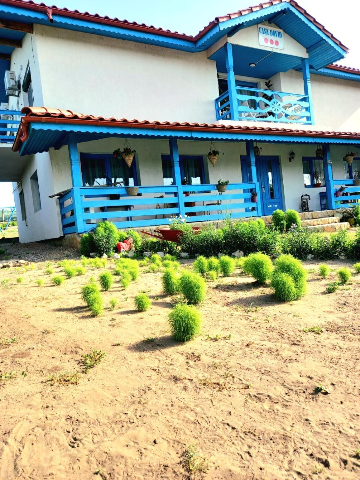 Casa David Otel Dunavăţu de Sus Dış mekan fotoğraf